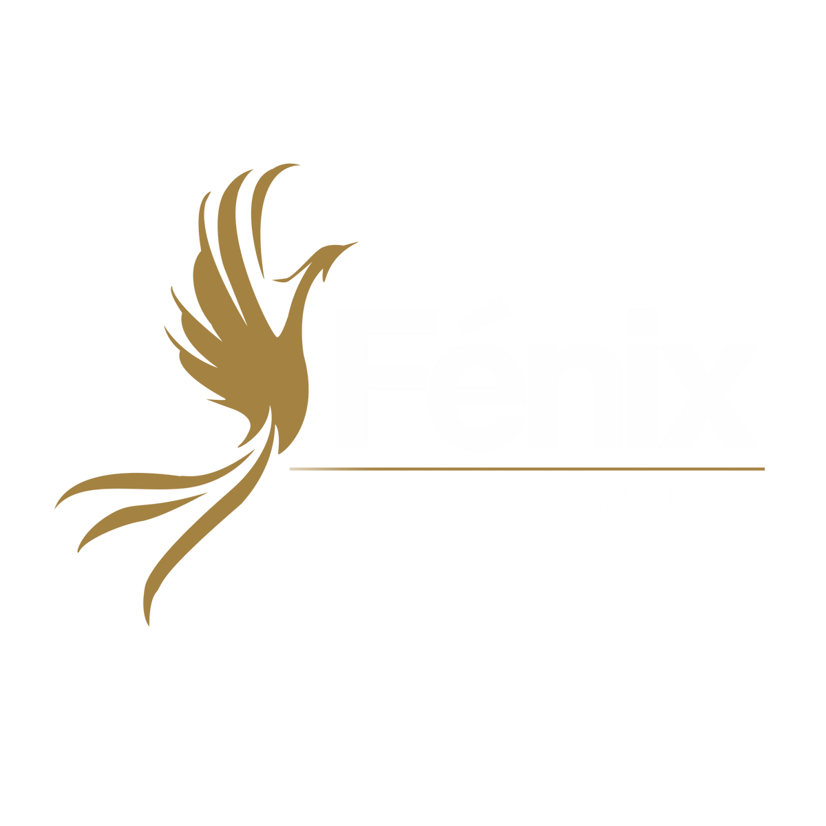 Fenix Aeronautica PNG BLANCO