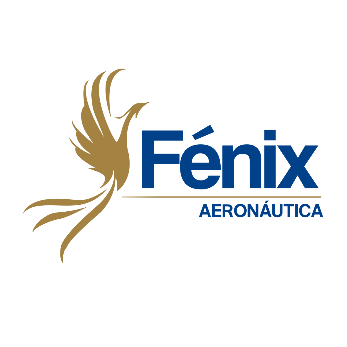 Fenix Aeronautica PNG
